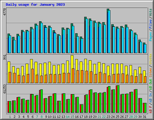 Daily usage for January 2023
