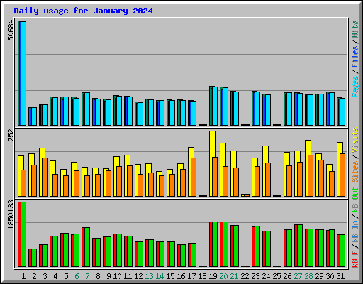 Daily usage for January 2024