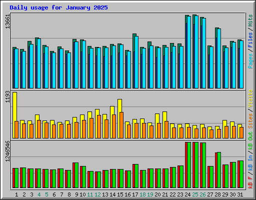 Daily usage for January 2025