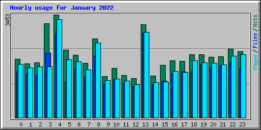 Hourly usage for January 2022