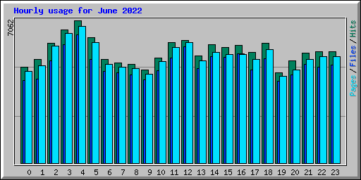 Hourly usage for June 2022