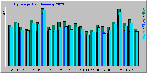 Hourly usage for January 2023