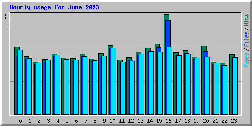 Hourly usage for June 2023