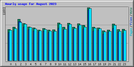 Hourly usage for August 2023