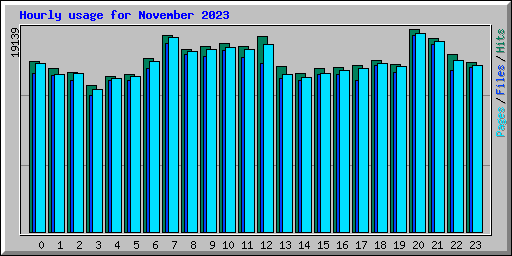 Hourly usage for November 2023