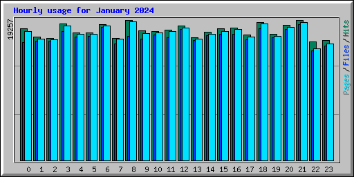 Hourly usage for January 2024