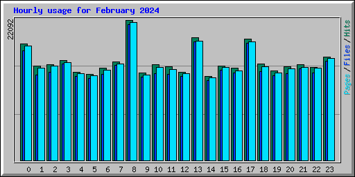 Hourly usage for February 2024