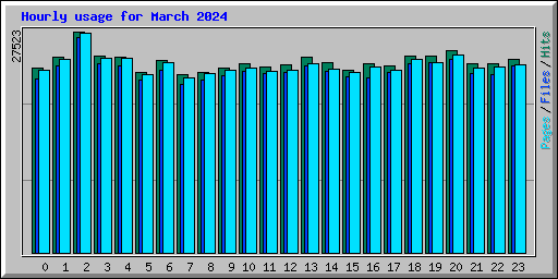 Hourly usage for March 2024