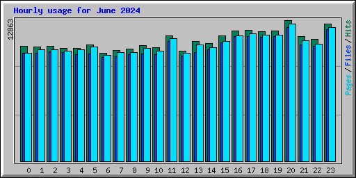 Hourly usage for June 2024