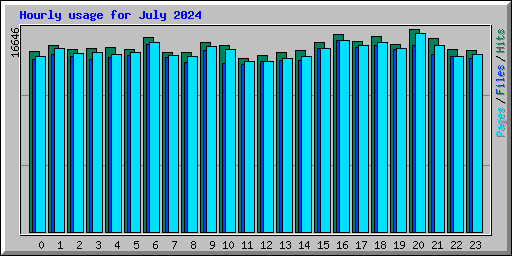 Hourly usage for July 2024
