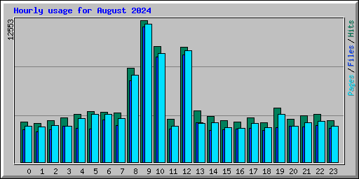 Hourly usage for August 2024