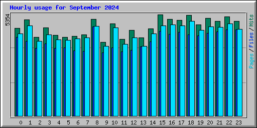 Hourly usage for September 2024