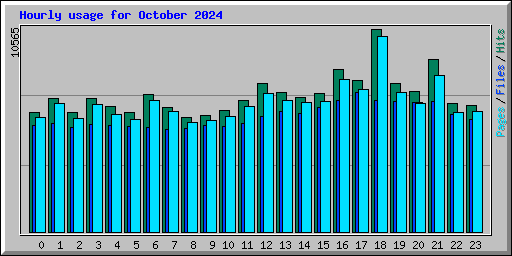 Hourly usage for October 2024
