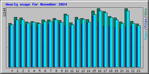 Hourly usage for November 2024