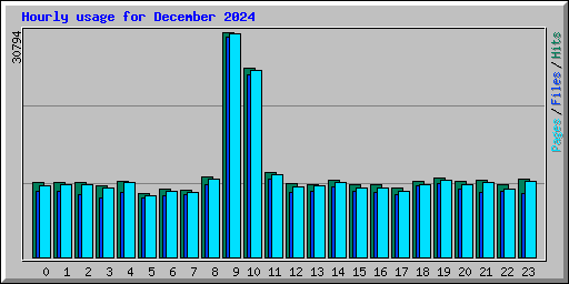Hourly usage for December 2024