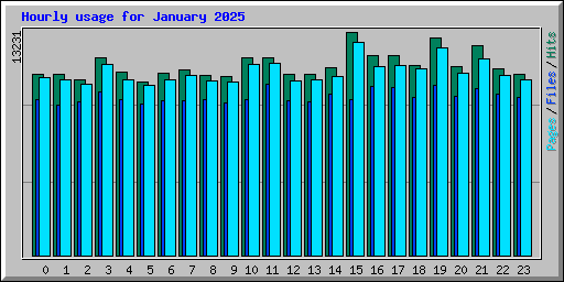 Hourly usage for January 2025