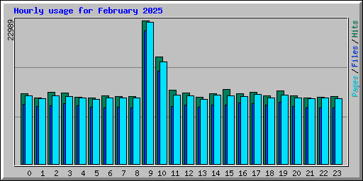 Hourly usage for February 2025