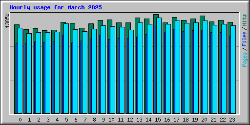 Hourly usage for March 2025