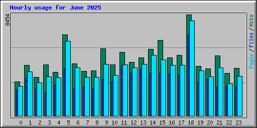 Hourly usage for June 2025